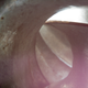 Image for article titled Shooting Challenge Freelensing Gallery 2
